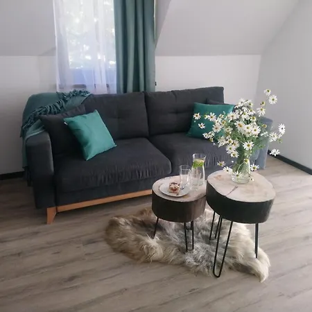 Bed & Breakfast Willowa Dzianisz