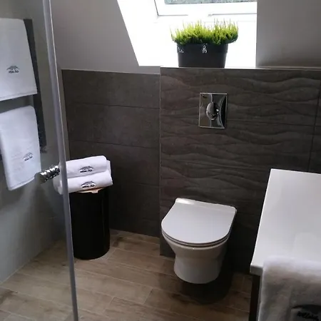 Willowa Bed & Breakfast Dzianisz