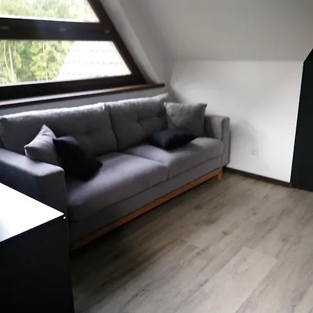 Willowa Bed & Breakfast Dzianisz