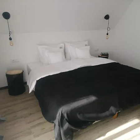 Willowa Bed & Breakfast Dzianisz