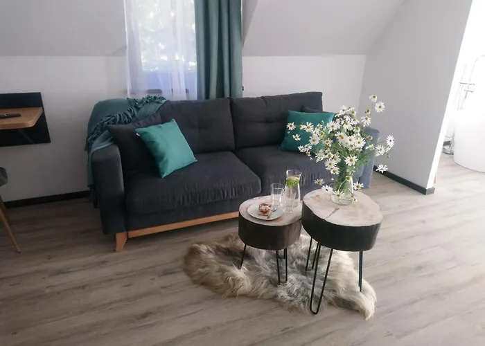 Bed & Breakfast Willowa Dzianisz