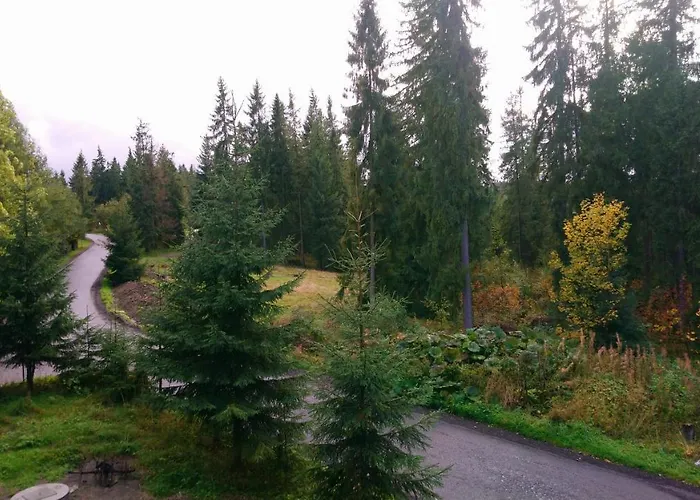 לינה וארוחת בוקר Willowa