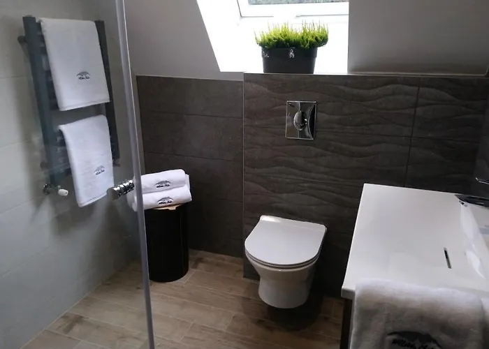 Willowa Bed & Breakfast Dzianisz