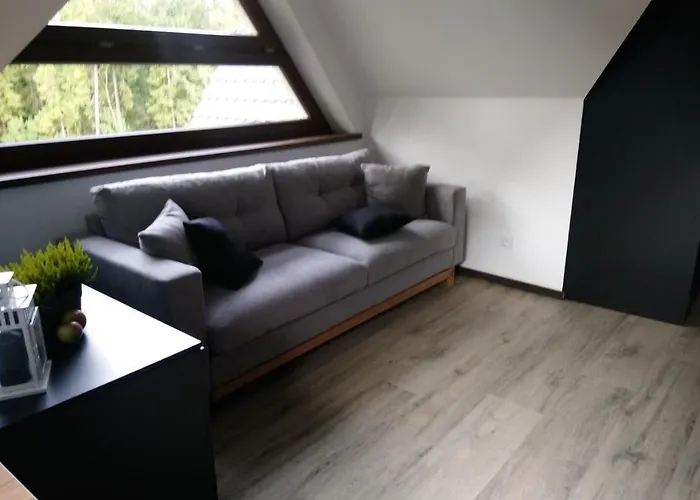 Willowa לינה וארוחת בוקר Dzianisz