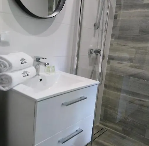 Willowa Bed & Breakfast Dzianisz