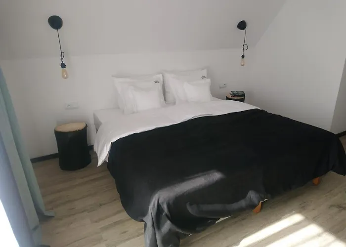 Willowa Bed & Breakfast Dzianisz